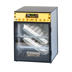 Incubator digital 100 oua Brinsea